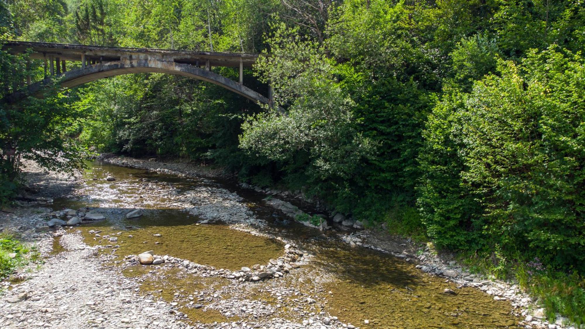 Chatalaba Wetlina Exteriör bild